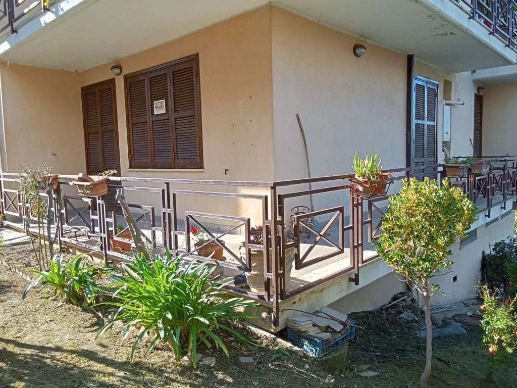 immagine annuncio 1 di 7