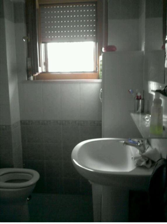 immagine annuncio 5 di 7
