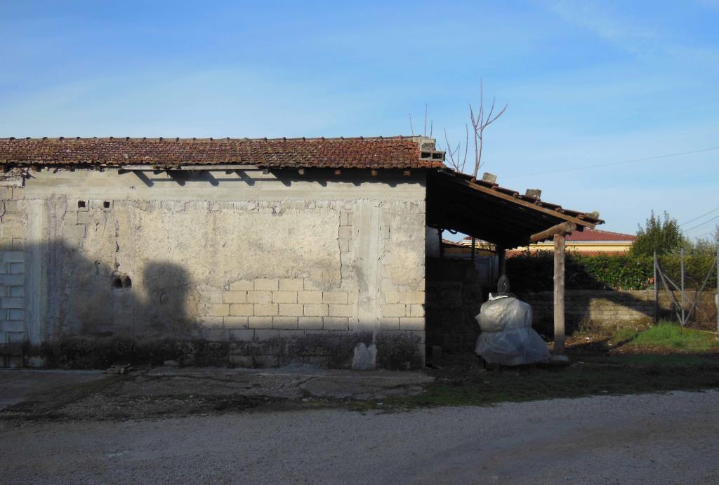 immagine annuncio 1 di 2