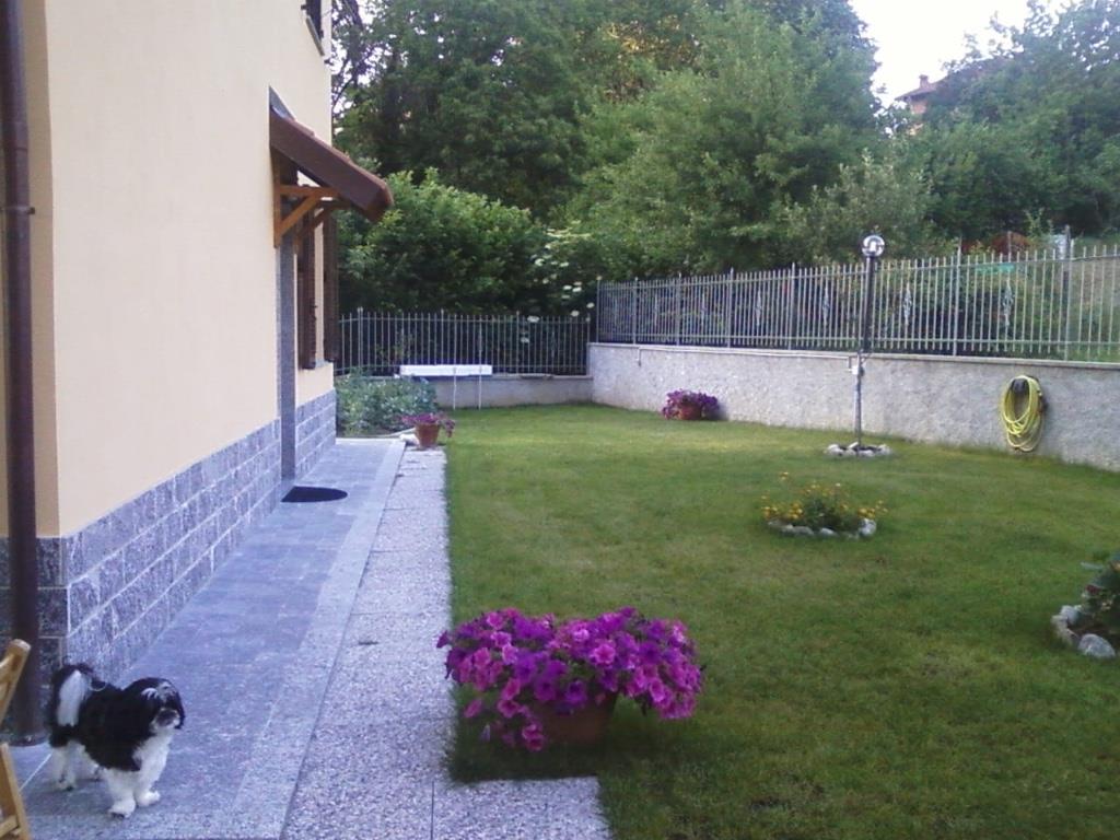 immagine annuncio 4 di 7