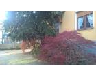 Foto - Appartamento in Affitto a Gorla Maggiore (Varese)