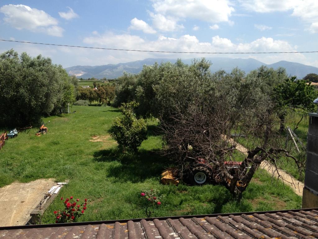 immagine annuncio 6 di 7