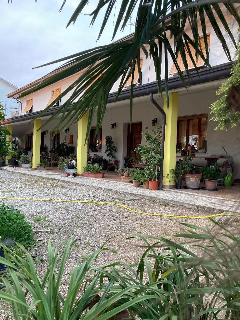 immagine annuncio 4 di 8