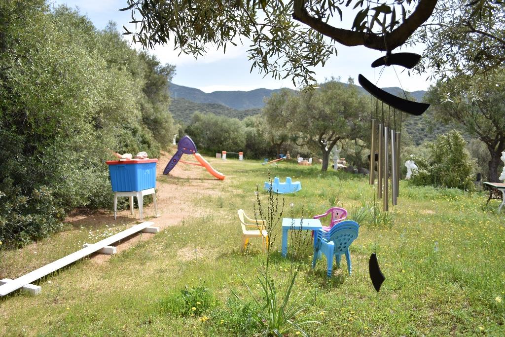 immagine annuncio 1 di 7