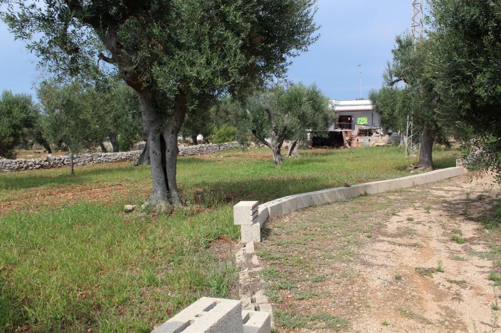 immagine annuncio 3 di 7