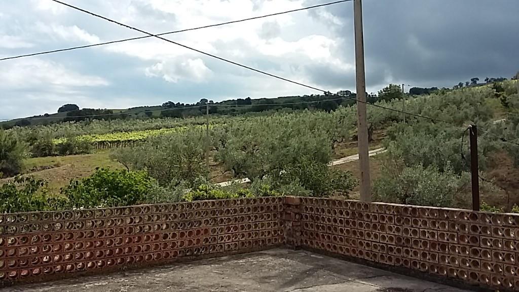 immagine annuncio 5 di 7