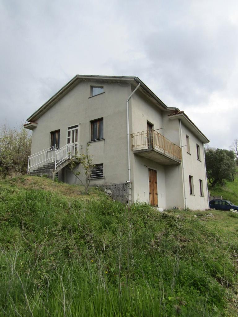 immagine annuncio 2 di 7