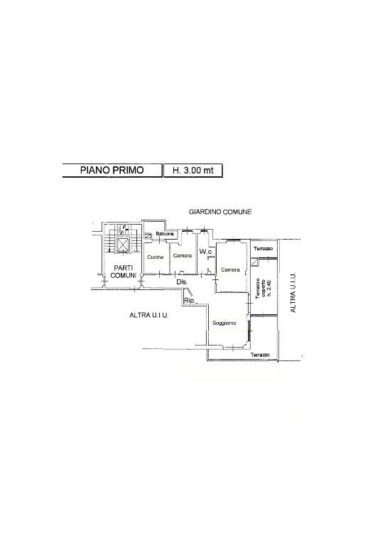 immagine annuncio 6 di 7