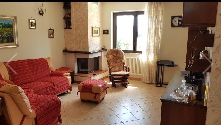 immagine annuncio 4 di 7