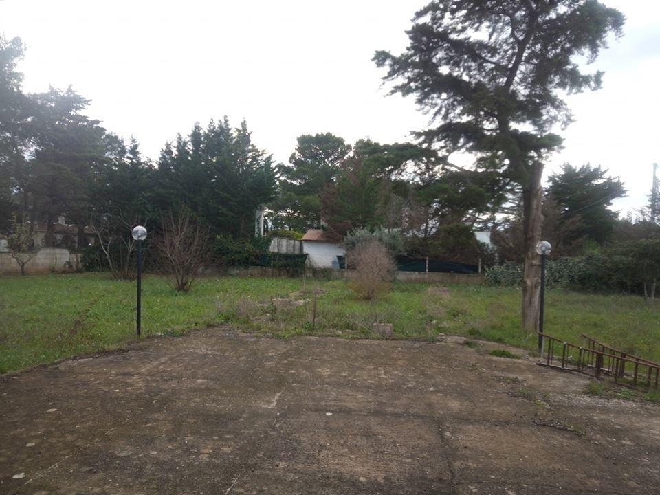 immagine annuncio 6 di 7