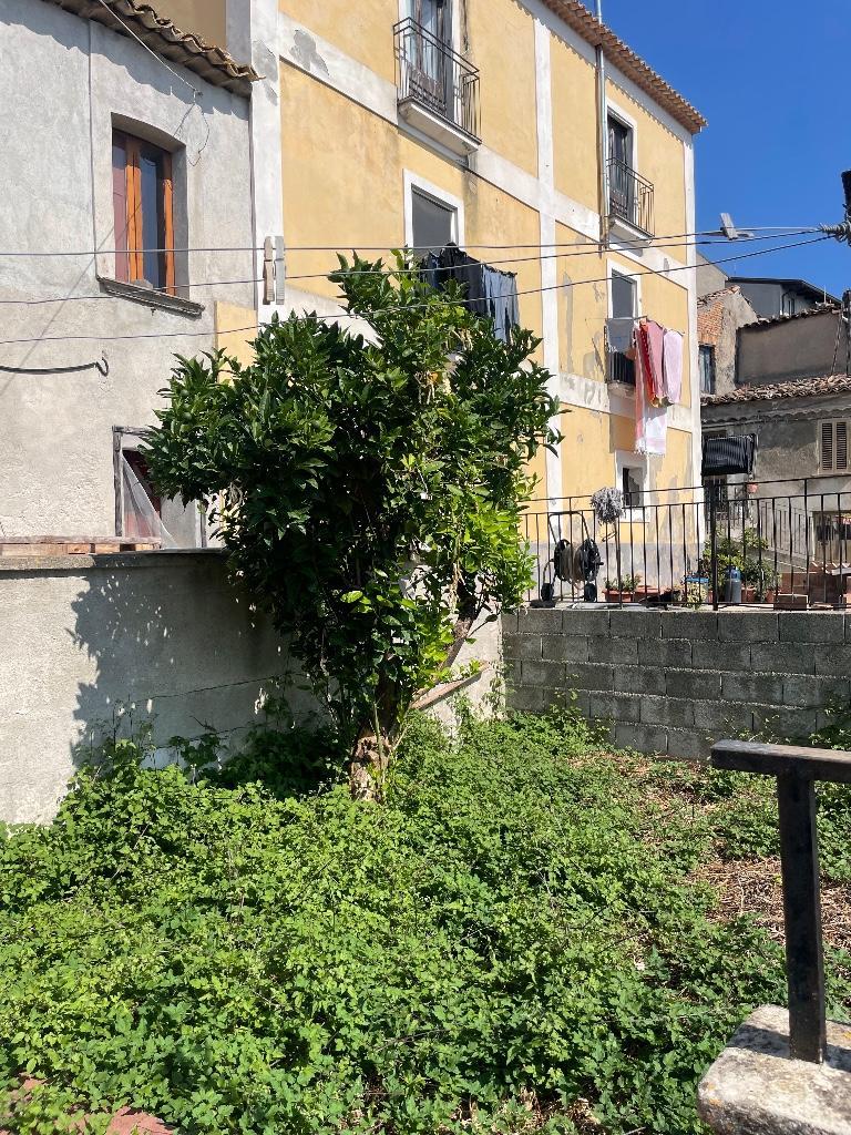 immagine annuncio 5 di 7