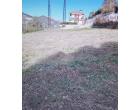 Foto - Terreno Edificabile Residenziale in Vendita a Vallecrosia - Piani Di Vallecrosia Foto - Terreno Edificabile Residenziale in Vendita a Vallecrosia - Piani Di Vallecrosia