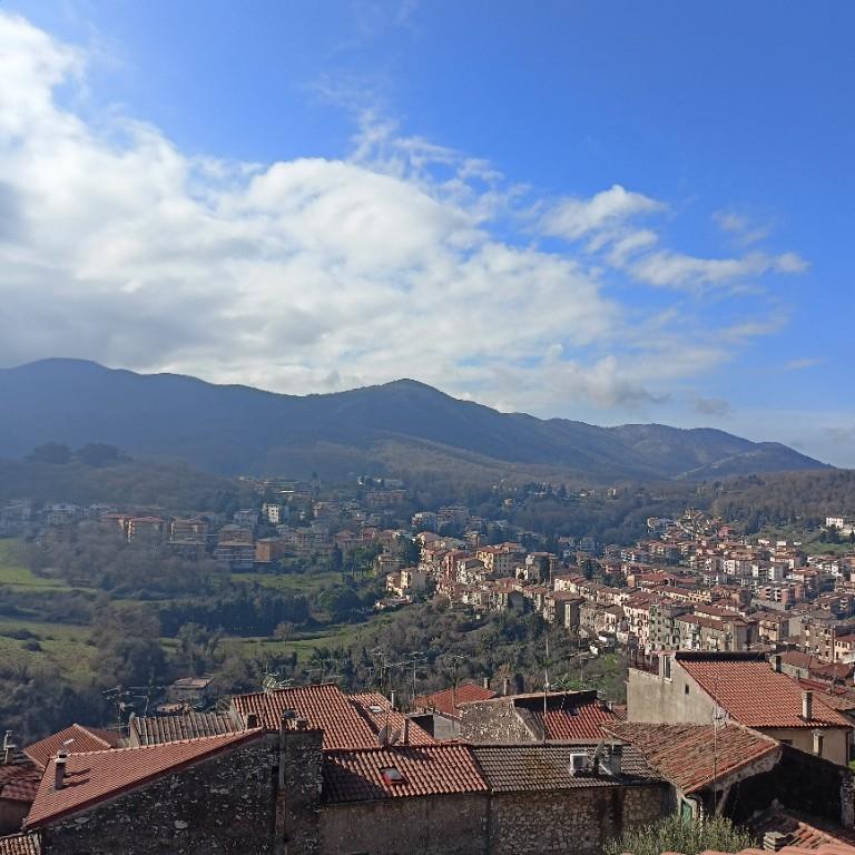 immagine annuncio 5 di 7
