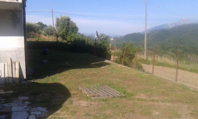 immagine annuncio 6 di 7