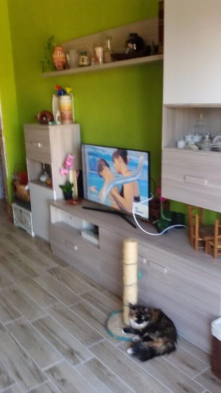 immagine annuncio 2 di 7