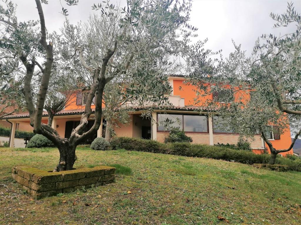 immagine annuncio 1 di 7