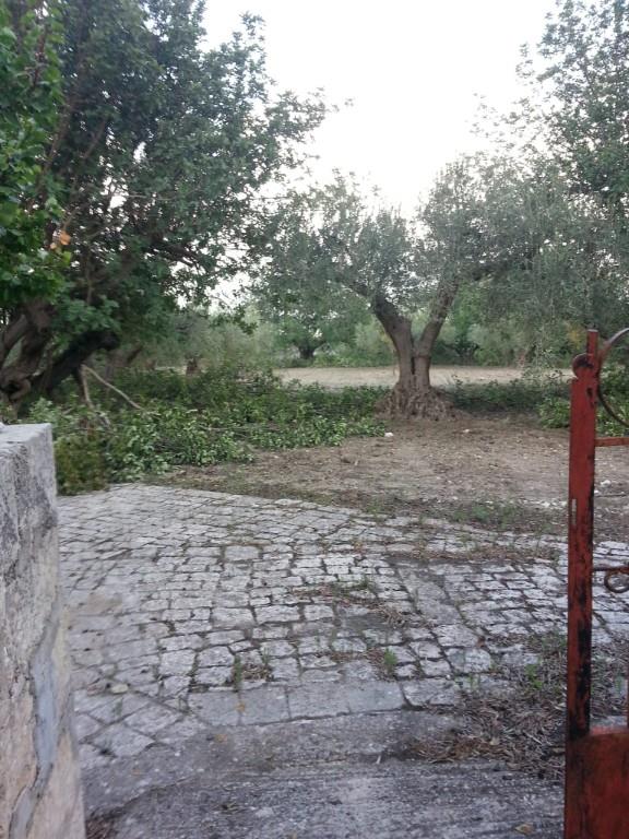 immagine annuncio 1 di 7