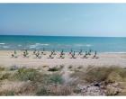 Foto - Attività Ristorante in Gestione a Termoli (Campobasso)