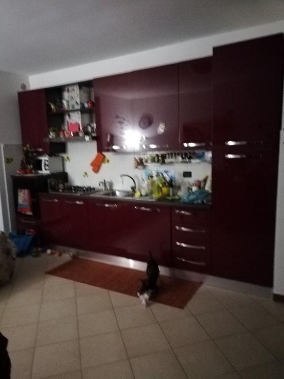 immagine annuncio 2 di 7
