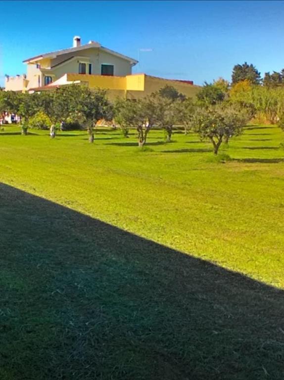 immagine annuncio 5 di 7