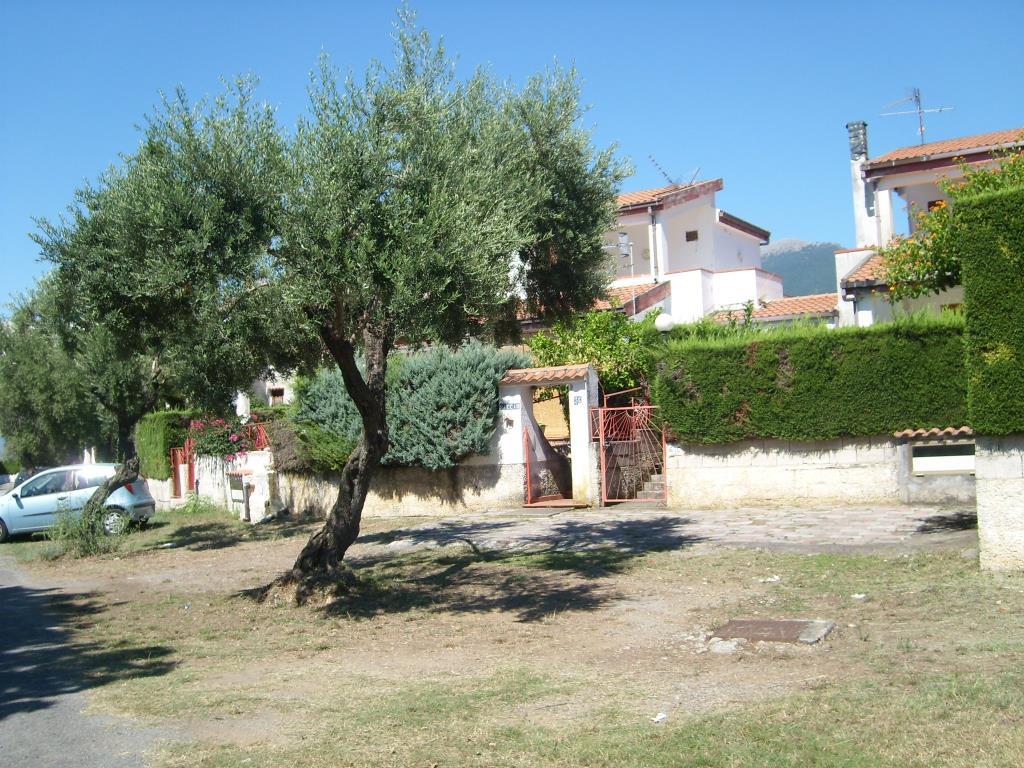 immagine annuncio 6 di 7