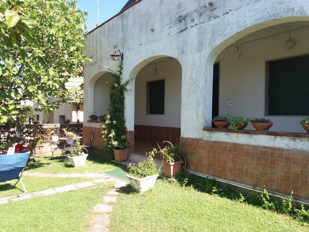 immagine annuncio 3 di 7