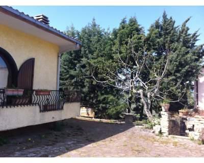 immagine annuncio 1 di 6