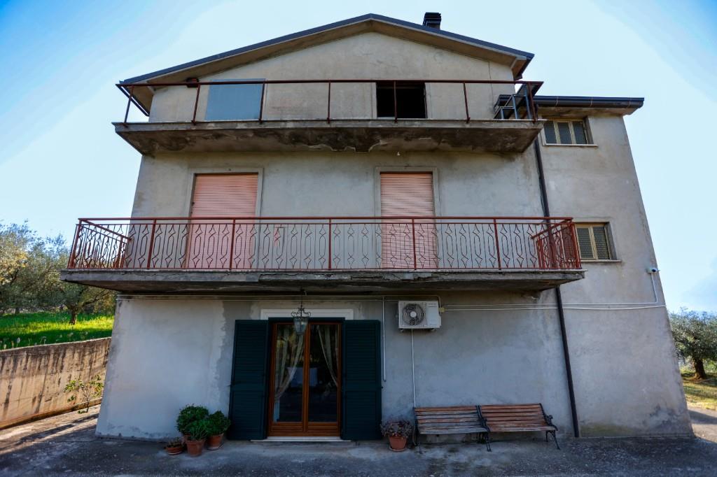 immagine annuncio 1 di 7