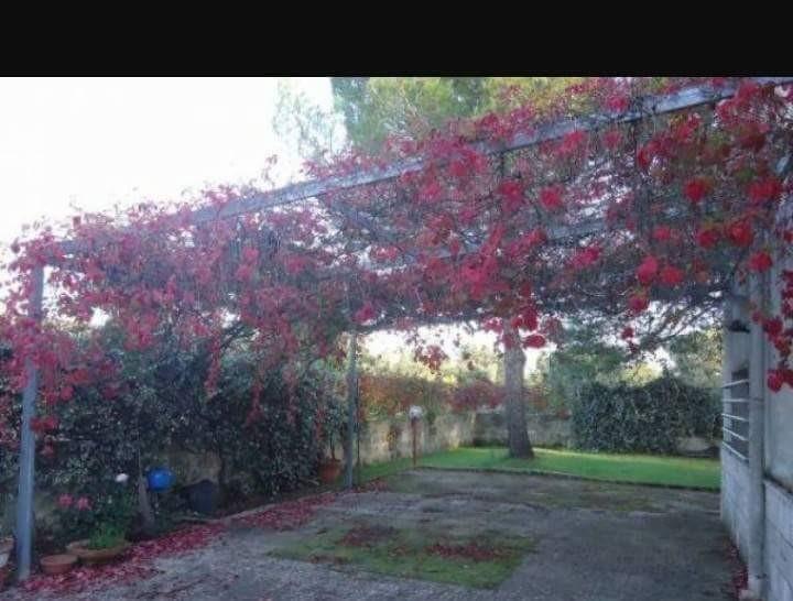 immagine annuncio 6 di 7