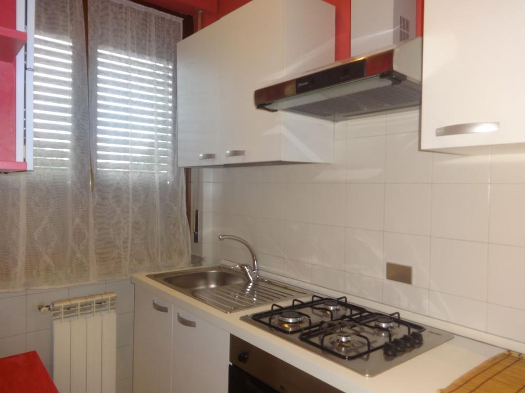 immagine annuncio 1 di 7