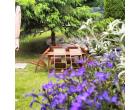 Foto - Affitto Appartamento Vacanze da Privato a Valtournenche - Maen Foto - Affitto Appartamento Vacanze da Privato a Valtournenche - Maen