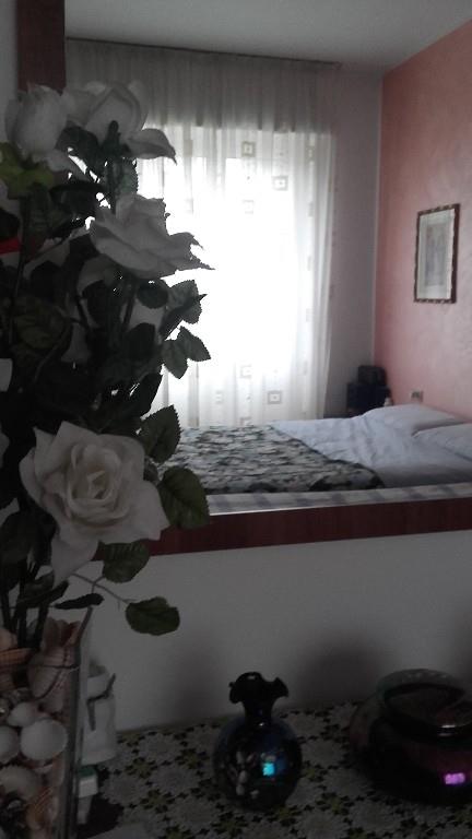 immagine annuncio 3 di 6