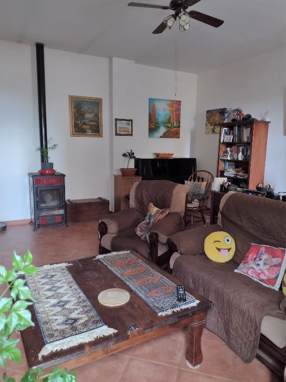 immagine annuncio 5 di 7