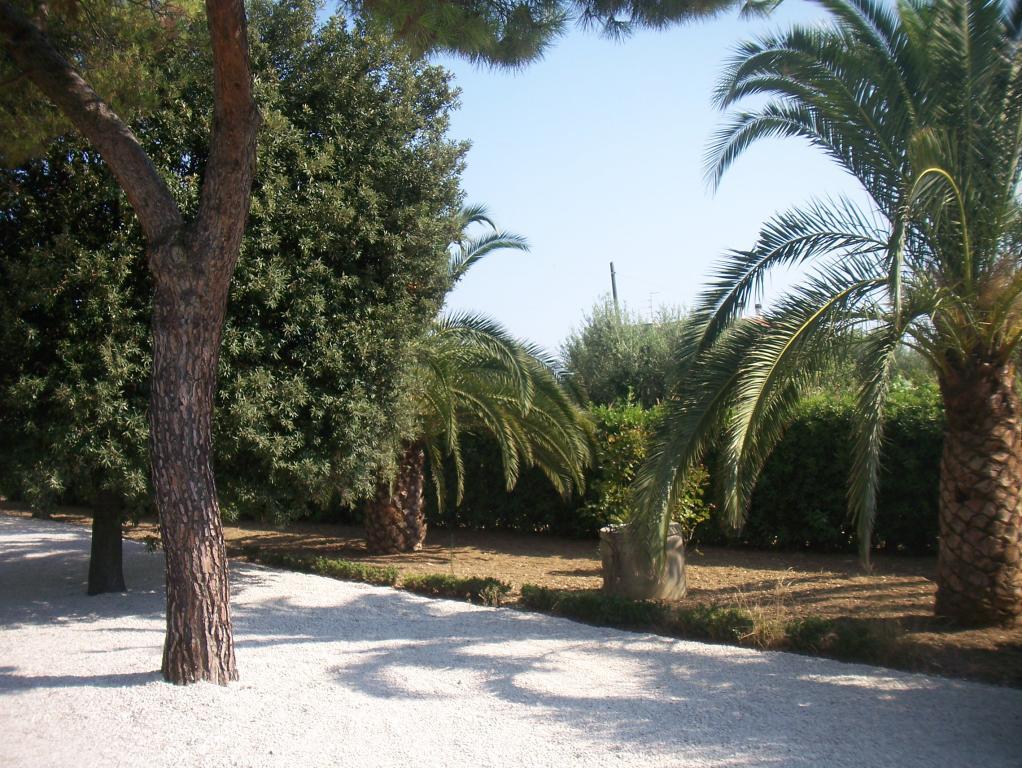 immagine annuncio 1 di 7