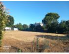 Foto - Terreno Edificabile Residenziale in Vendita a Fiorenzuola d'Arda - San Protaso