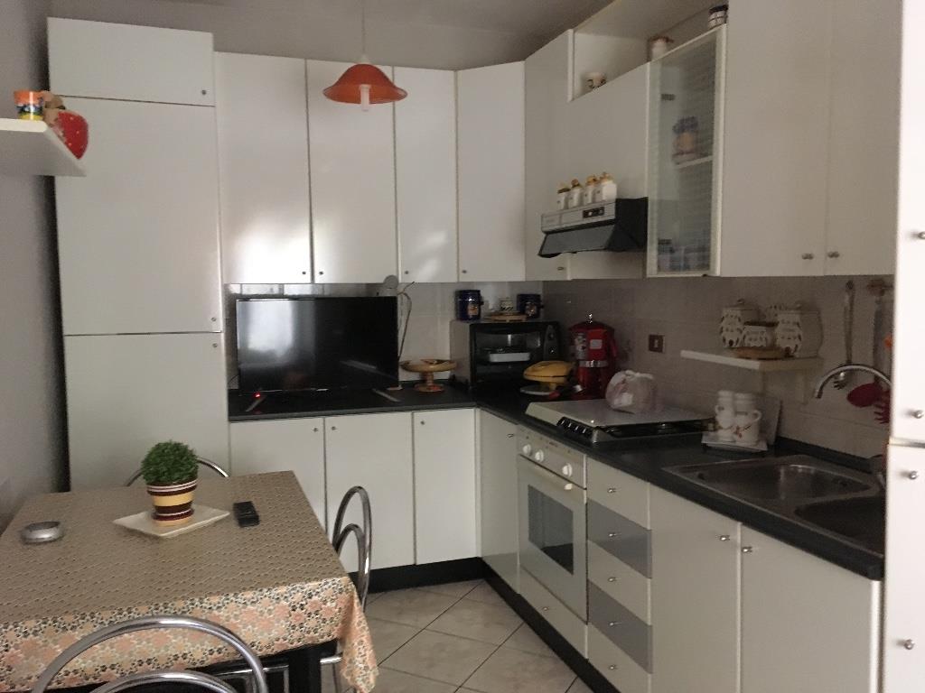 immagine annuncio 4 di 7