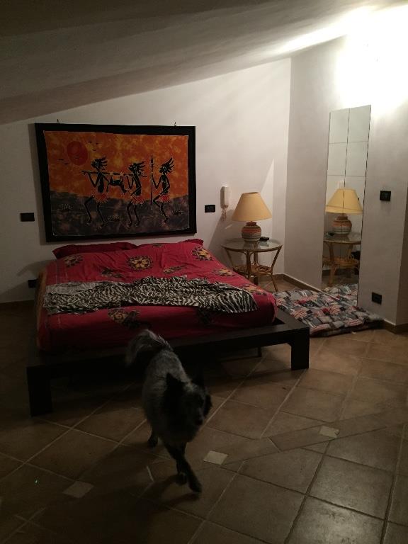 immagine annuncio 1 di 7