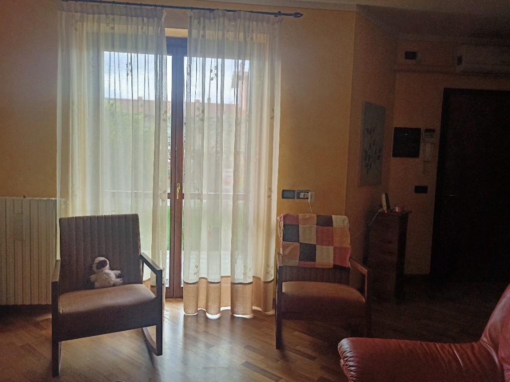 immagine annuncio 3 di 6