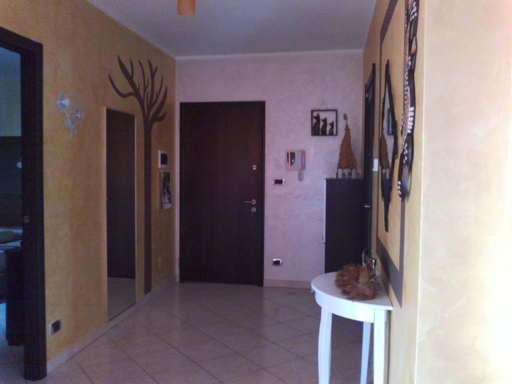 immagine annuncio 1 di 7