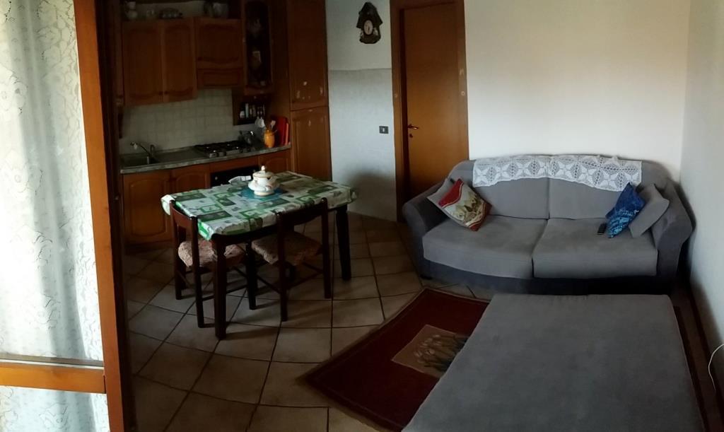 immagine annuncio 1 di 4