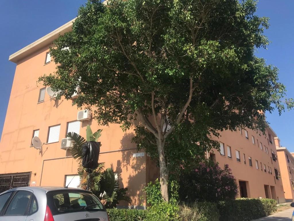 immagine annuncio 2 di 7