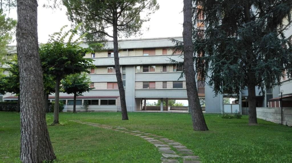 immagine annuncio 6 di 7