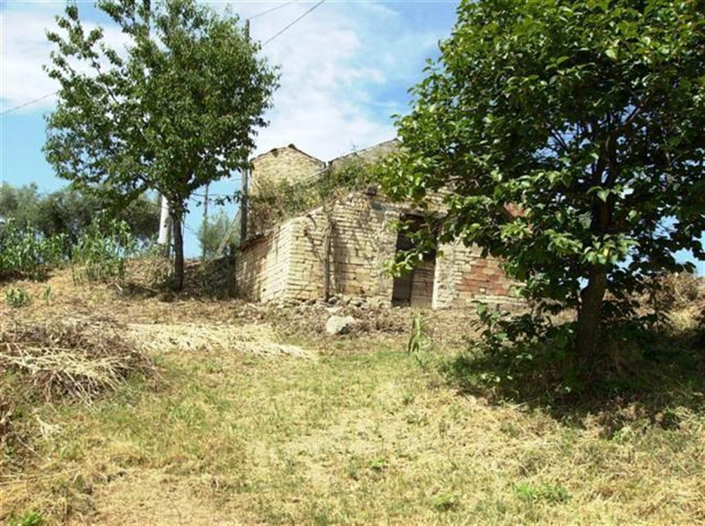 immagine annuncio 1 di 7