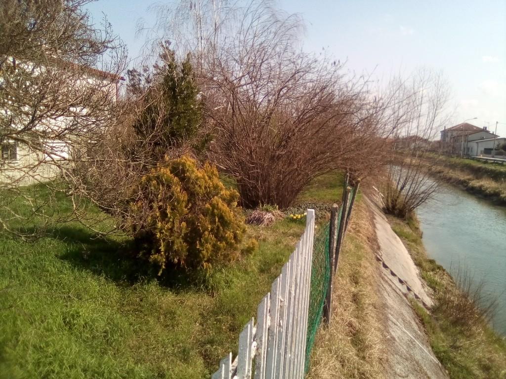 immagine annuncio 1 di 7
