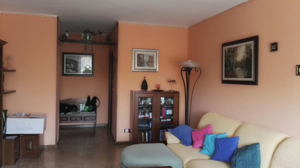 immagine annuncio 2 di 7