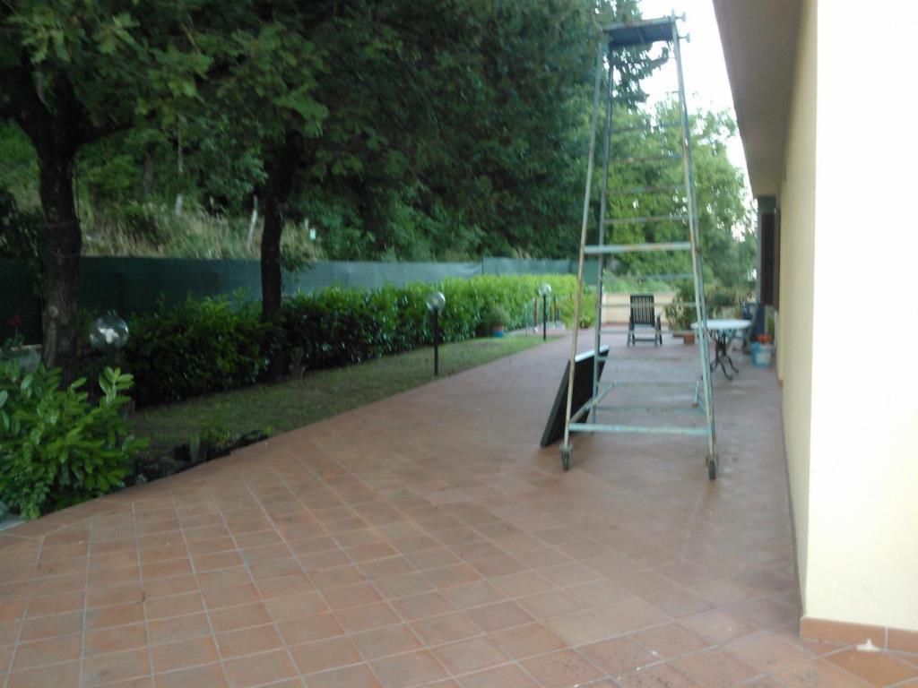 immagine annuncio 2 di 7