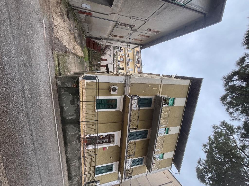 immagine annuncio 6 di 7