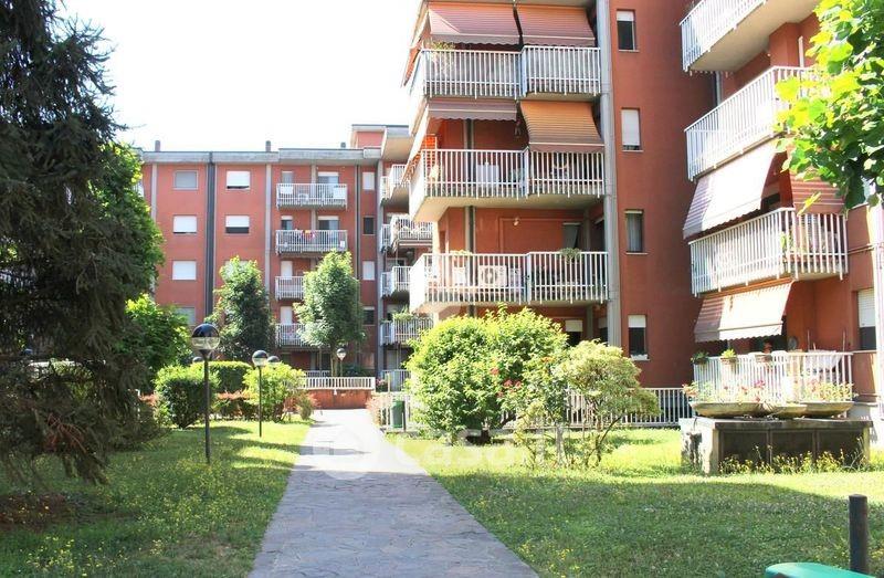 immagine annuncio 4 di 6