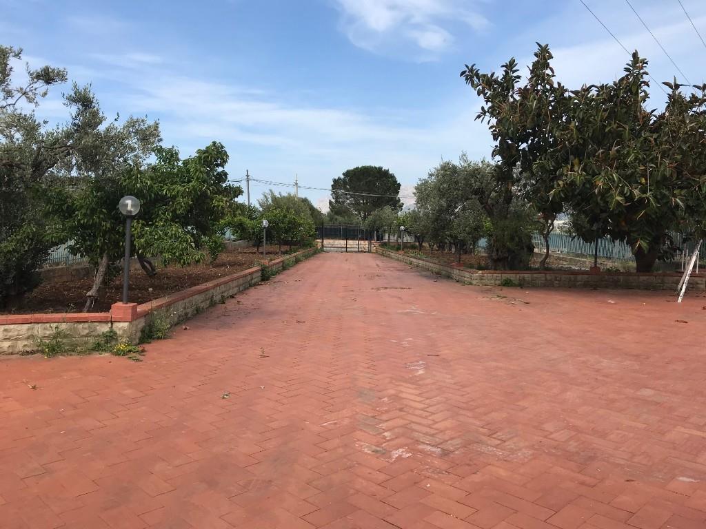 immagine annuncio 5 di 7
