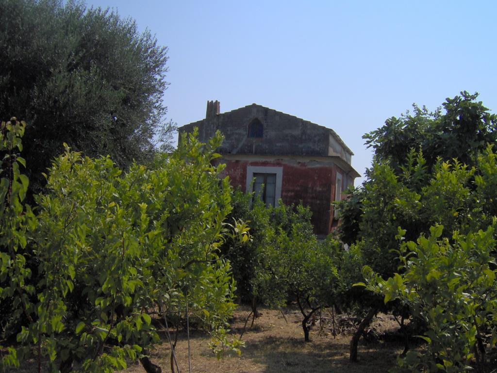 immagine annuncio 1 di 7